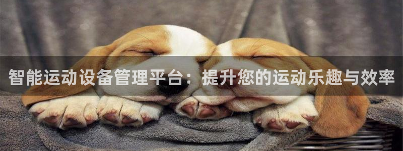 意昂体育5(KGAME)平台APP
