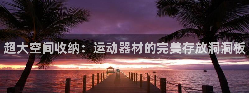 意昂5(KGAME)娱乐40996：超大空间收纳：运动器材的