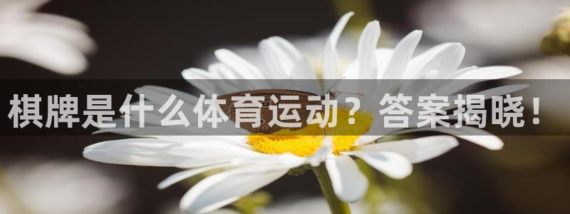 三亿体育网页版：棋牌是什么体育运动？答案揭晓！