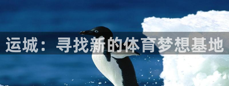 三亿体育网页版：运城：寻找新的体育梦想基地