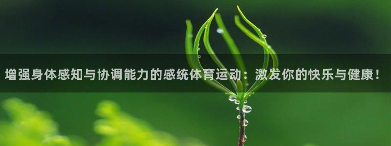 三亿体育网页版：增强身体感知与协调能力的感统体育运动：激发你的快乐与健康！