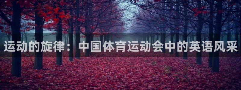 三亿体育网页版：运动的旋律：中国体育运动会中的英语风采