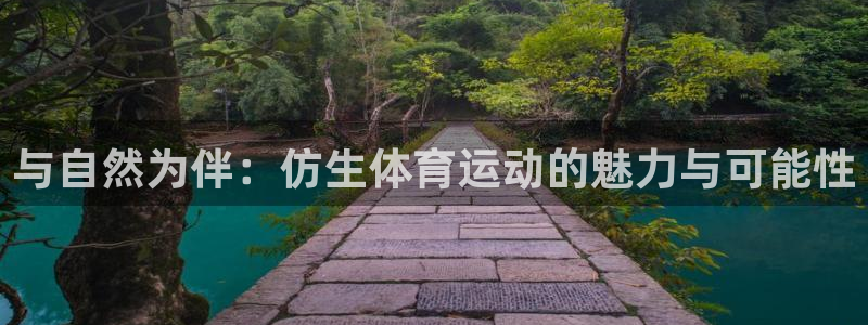 三亿体育网：与自然为伴：仿生体育运动的魅力与可能性