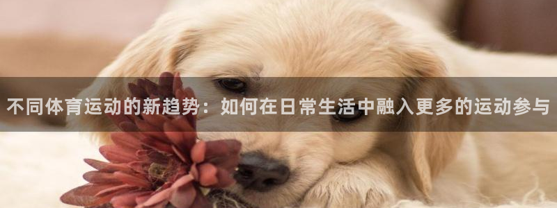 三亿体育登录：不同体育运动的新趋势：如何在日常生活中融入更多的运动参与